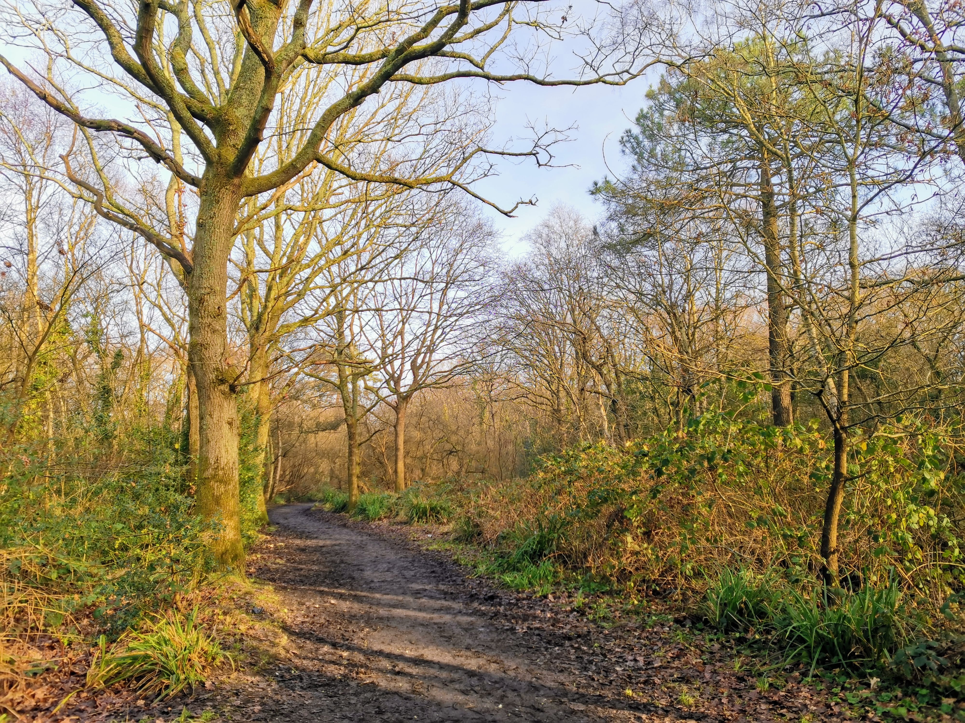 Bourne Valley Nature Reserve